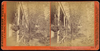 View from the Cosmopolitan, Yosemite Valley, Mariposa Co., California by Carleton E. Watkins